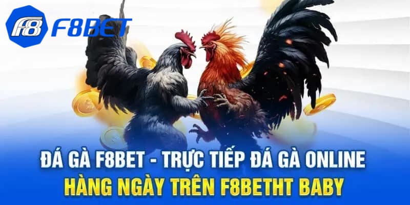 Đá gà F8bet là gì?