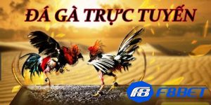 Đá gà trực tuyến là gì?