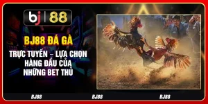 Bj88 Đá Gà Trực Tuyến – Lựa Chọn Hàng Đầu Của Những Bet Thủ